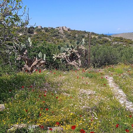 דירות Erimos Sotula מראה חיצוני תמונה