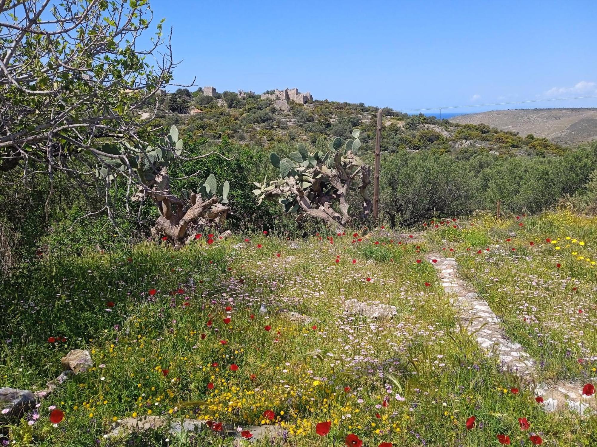 דירות Erimos Sotula מראה חיצוני תמונה